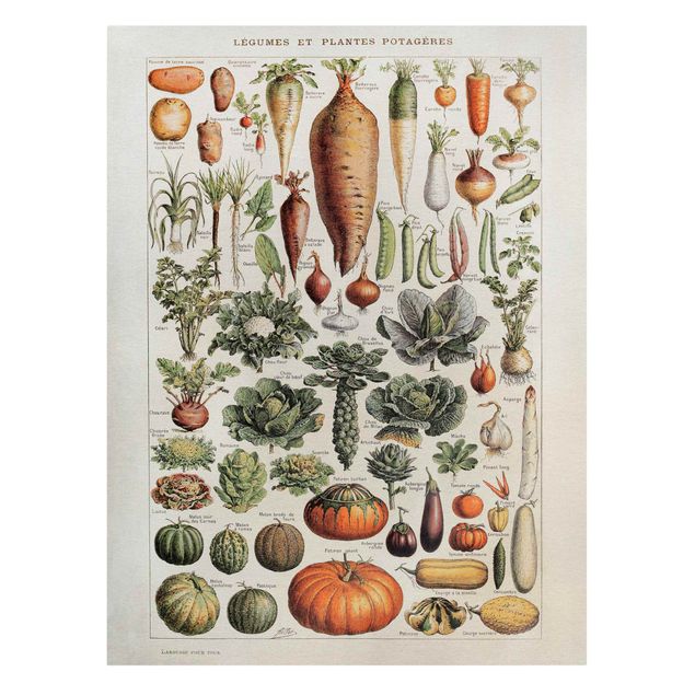 Schöne Leinwandbilder Vintage Lehrtafel Gemüse