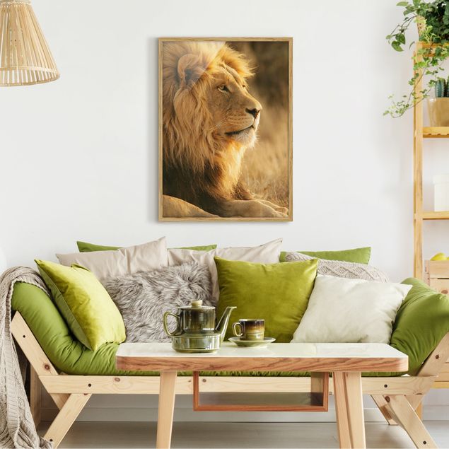 Wandbilder mit Rahmen Löwenkönig