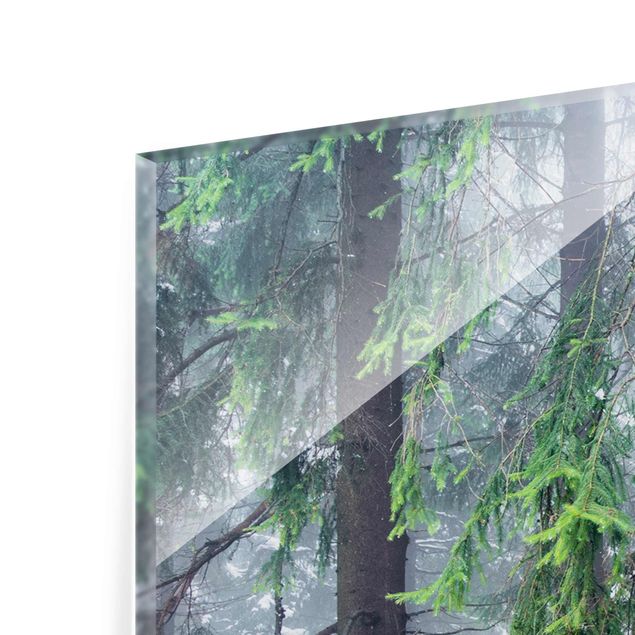 Glasbild - Nadelbäume im Winter - Panel