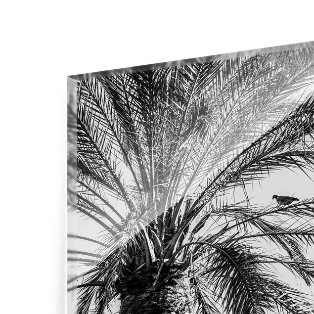 Glasbild - Palmen im Sonnenuntergang Schwarz-Weiß - Hochformat 4:3