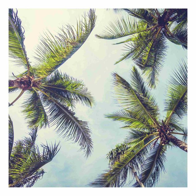 Glasbilder Die Palmen