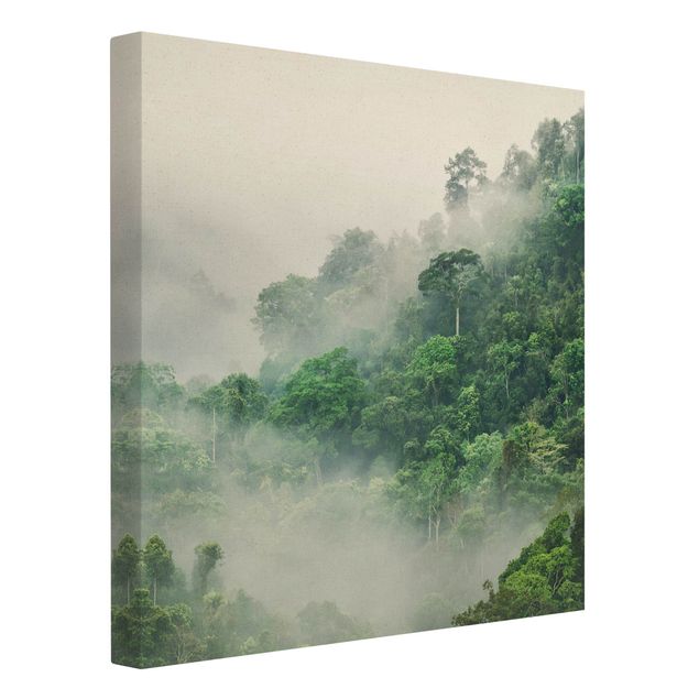 Wandbilder Dschungel im Nebel