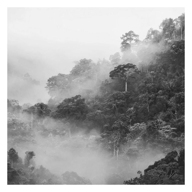 Schwarze Tapeten Dschungel im Nebel Schwarz-Weiß