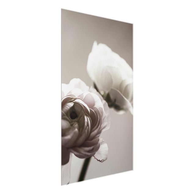 Bilder für die Wand Dunkle Blüte im Fokus