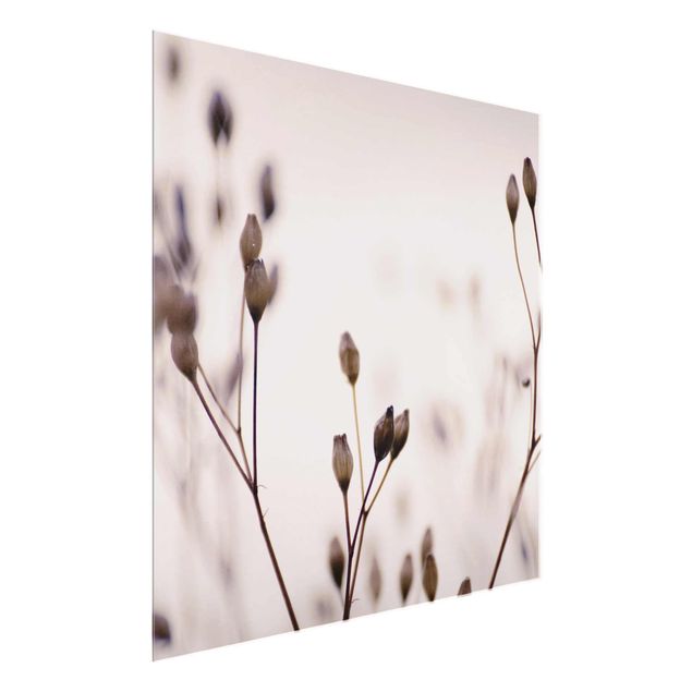 Bilder für die Wand Dunkle Knospen am Wildblumenzweig