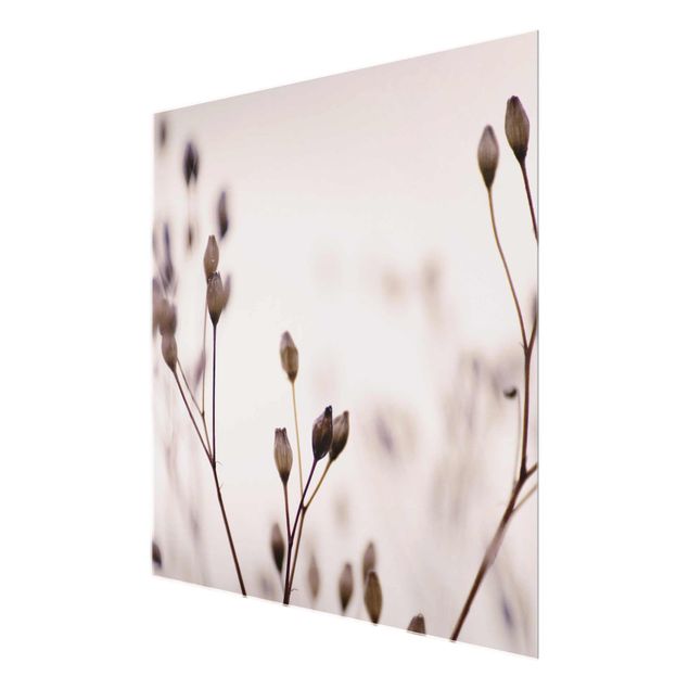 Glasbild - Dunkle Knospen am Wildblumenzweig - Quadrat