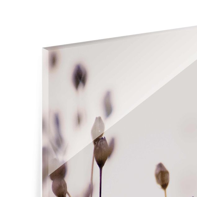 Glasbild - Dunkle Knospen am Wildblumenzweig - Hochformat