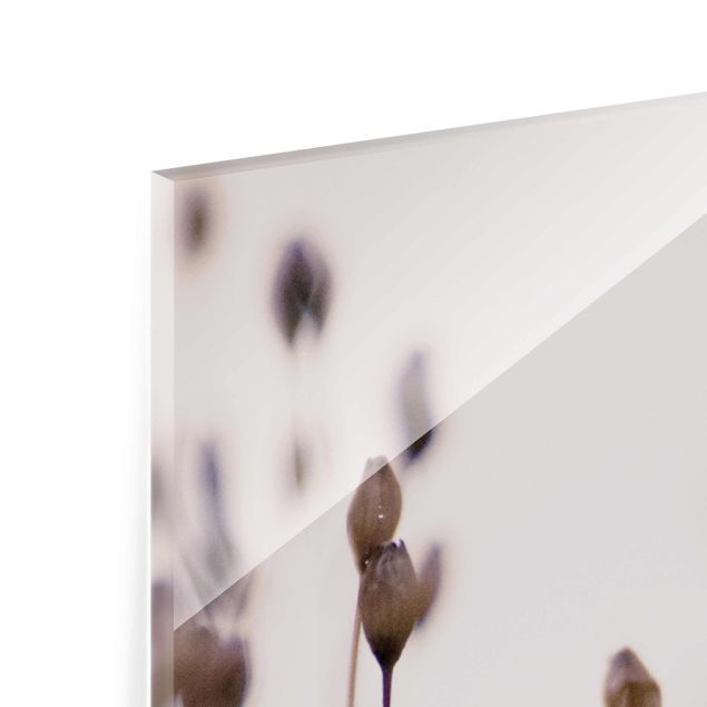 Glasbild - Dunkle Knospen am Wildblumenzweig - Quadrat