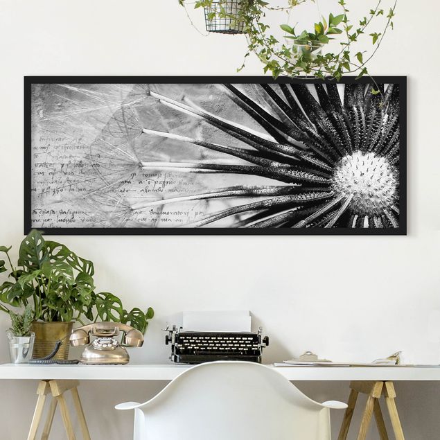 Blumen Bilder mit Rahmen Pusteblume Schwarz & Weiß