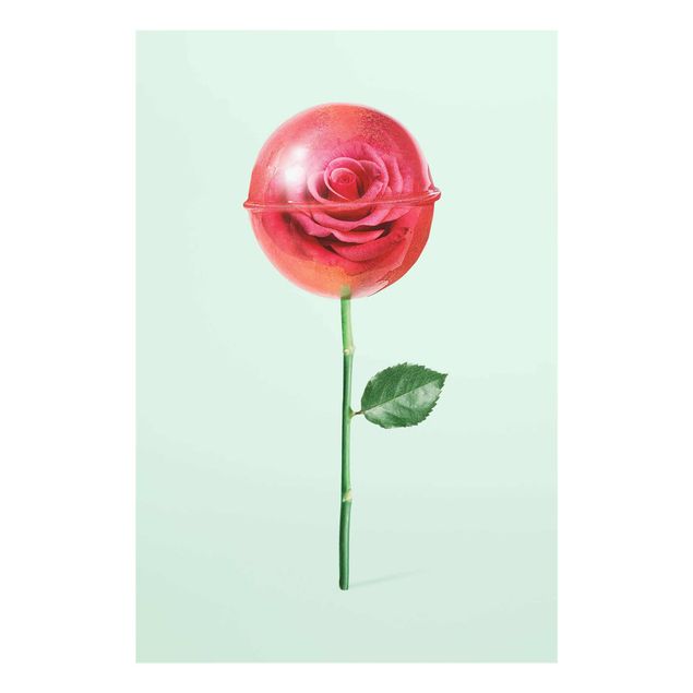 Bilder für die Wand Rose mit Lollipop