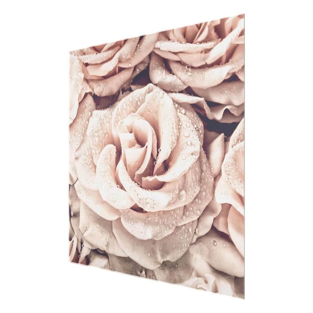 Schöne Wandbilder Rosen Sepia mit Wassertropfen