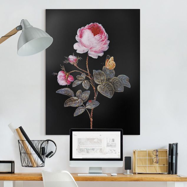 Wandbilder XXL Barbara Regina Dietzsch - Die hundertblättrige Rose