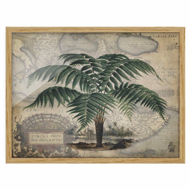 Wandbilder Vintage Collage - Palme und Weltkarte