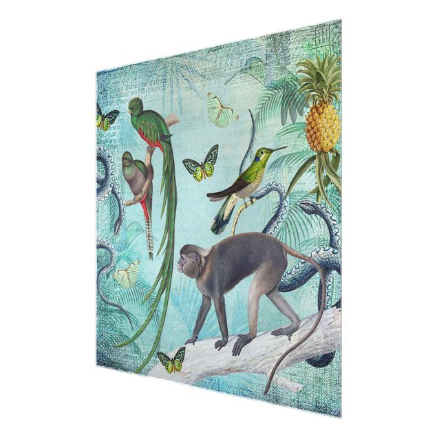 Wandbilder Colonial Style Collage - Äffchen und Paradiesvögel