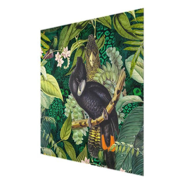 Glas Wandbilder Bunte Collage - Kakadus im Dschungel