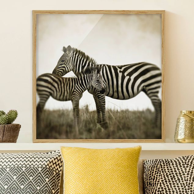 Wandbilder Tiere Zebrapaar