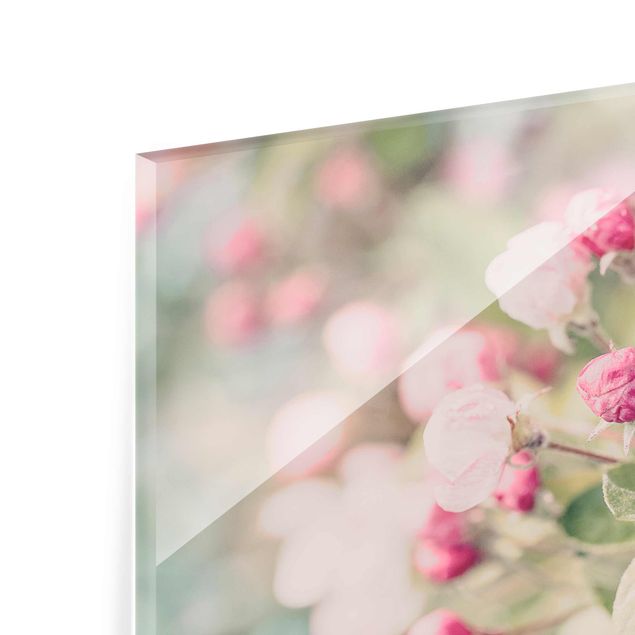 Glasbild - Apfelblüte Bokeh rosa - Querformat 2:3