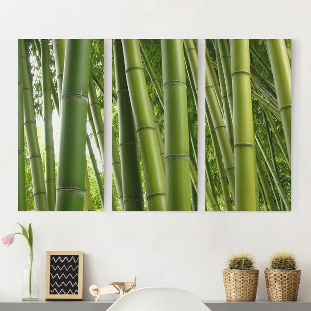 Wandbilder XXL Bamboo Trees