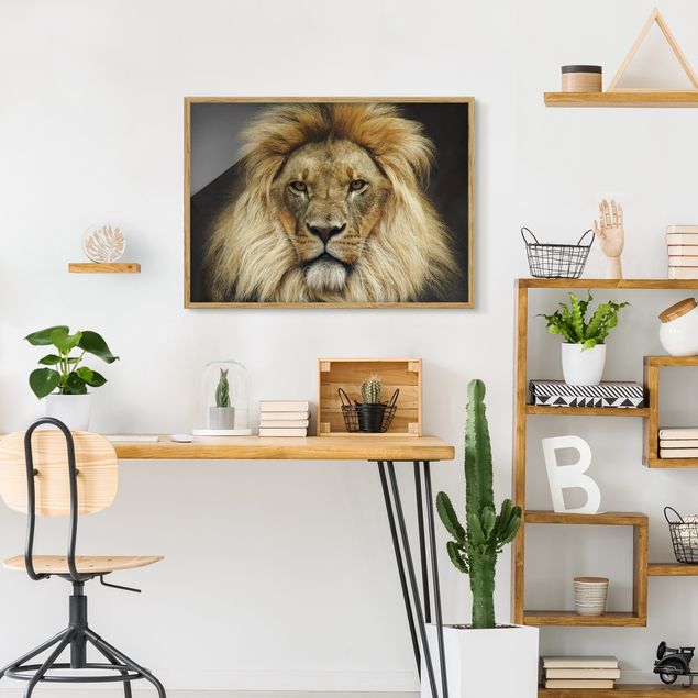 Wandbilder mit Rahmen Wisdom of Lion