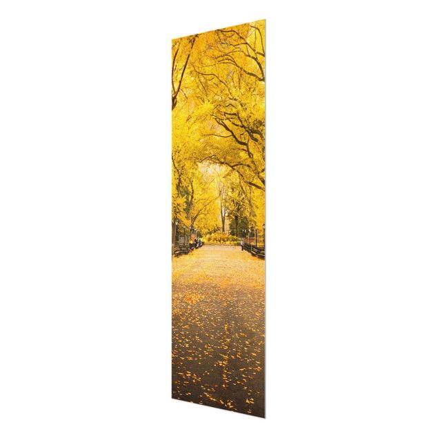 Glasbild - Herbst im Central Park - Panel