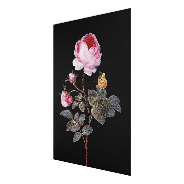 Glasbilder Barbara Regina Dietzsch - Die hundertblättrige Rose