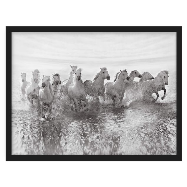Gerahmte Bilder abstrakt Weiße Pferde im Meer