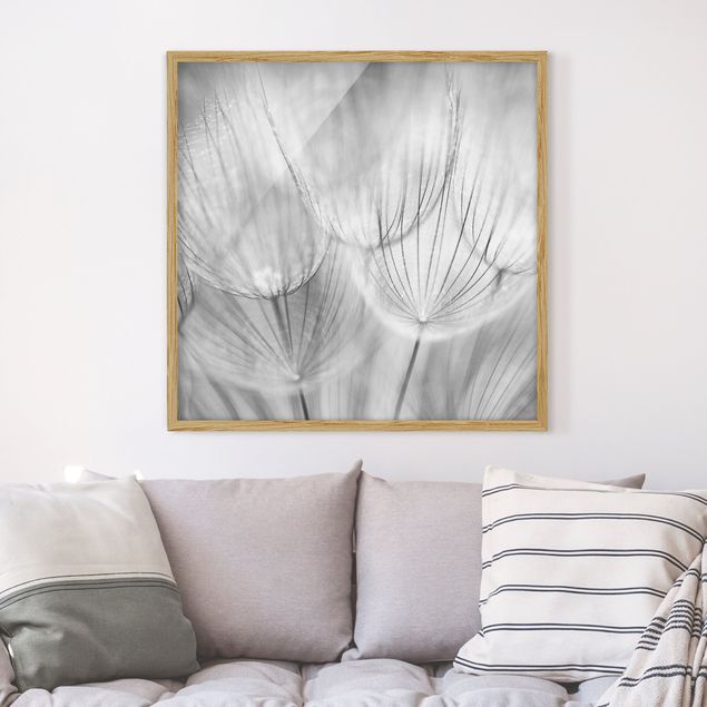 Schwarz-Weiß Bilder mit Rahmen Pusteblumen Makroaufnahme in schwarz weiß