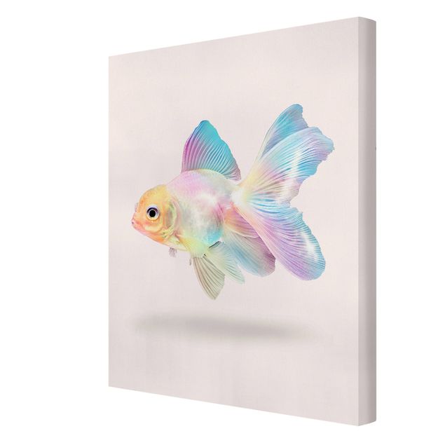 Leinwandbilder Wohnzimmer modern Fisch in Pastell