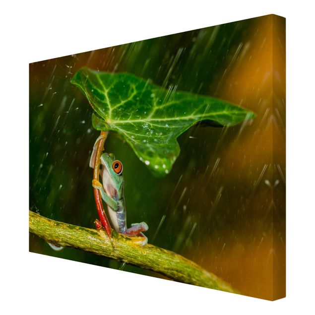 Bilder für die Wand Ein Frosch im Regen