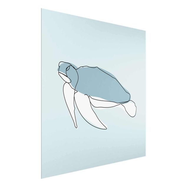 Glasbilder Tiere Schildkröte Line Art