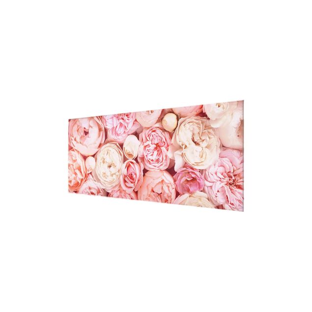 Schöne Wandbilder Rosen Rosé Koralle Shabby