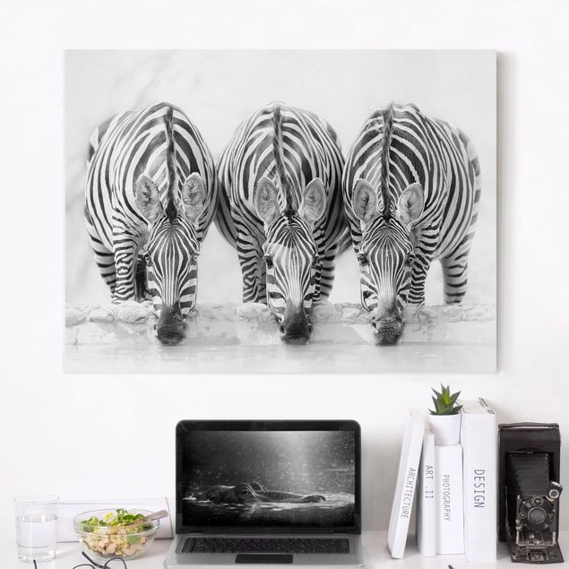 Leinwandbilder XXL Zebra Trio schwarz-weiß