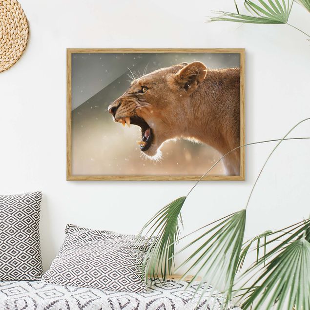 Wandbilder abstrakt Löwin auf der Jagd