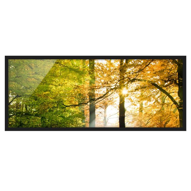 Bild mit Rahmen - Morning Light - Panorama Querformat
