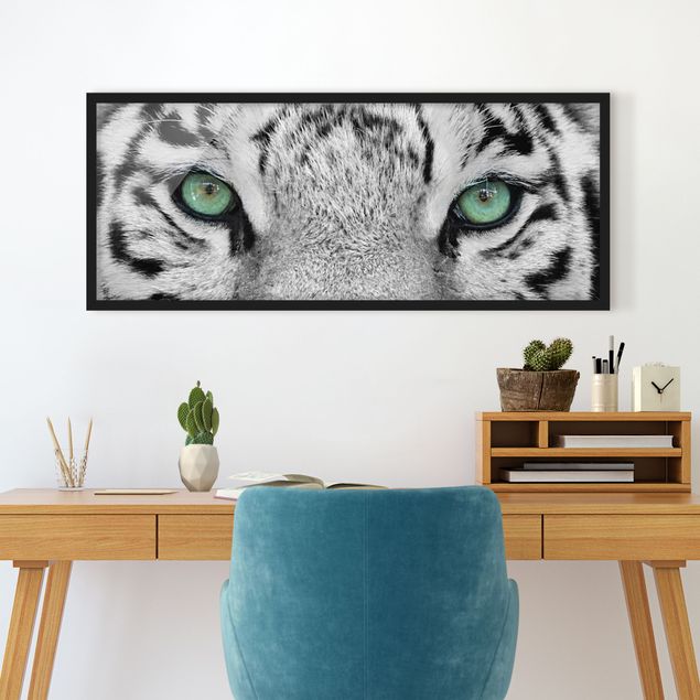 Schwarz-Weiß Bilder mit Rahmen Weißer Tiger