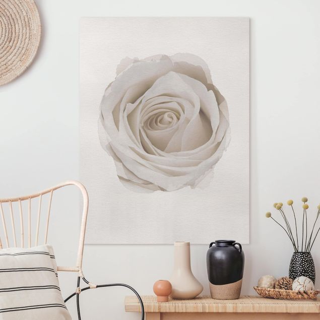 Leinwand Bilder XXL Wasserfarben - Pretty White Rose