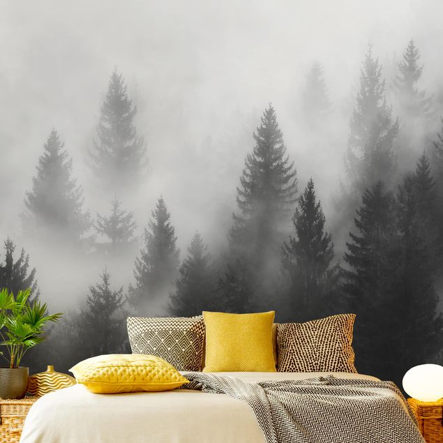 Fototapete Landschaft Nadelwald im Nebel Schwarz Weiß