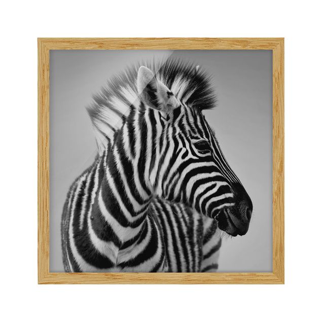 Gerahmte Bilder abstrakt Zebra Baby Portrait II