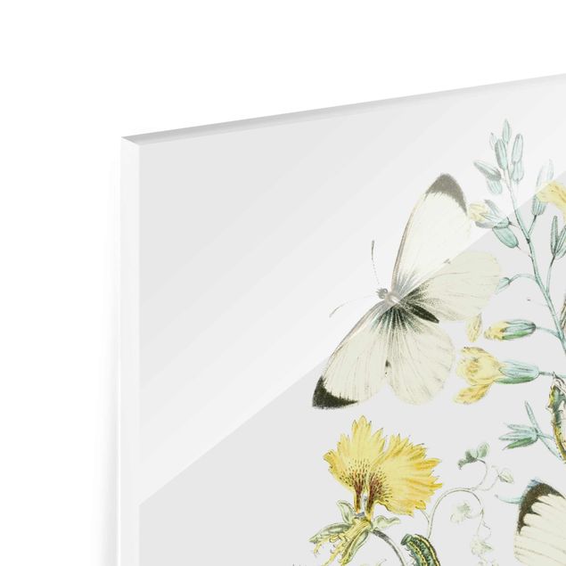 Glasbild - Britische Schmetterlinge II - Quadrat 1:1