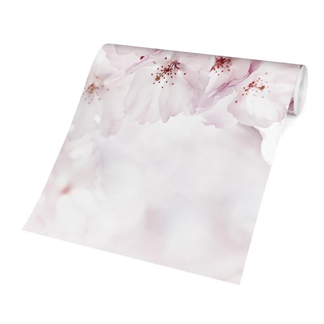 Wandtapete Design Ein Kirschblütenhauch