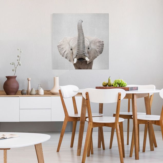 Wandbilder Tiere Elefant Ewald