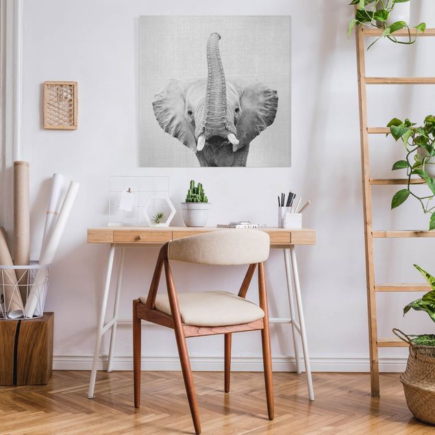 Wandbilder Tiere Elefant Ewald Schwarz Weiß