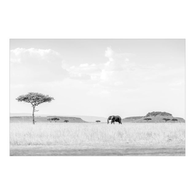 Wandtapete schwarz Elefant in weiter Savanne Schwarz-Weiß