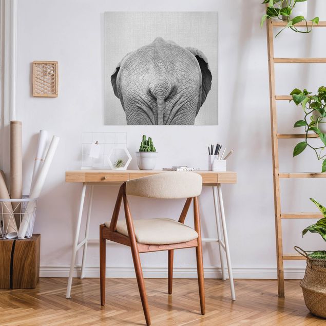 Wandbilder Tiere Elefant von hinten Schwarz Weiß