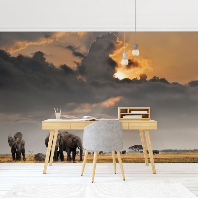 Fototapete Natur Elefanten der Savanne