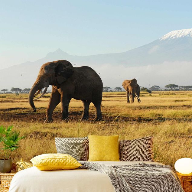 Fototapete Elefant Elefanten vor dem Kilimanjaro in Kenya