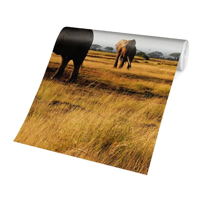 Fototapete modern Elefanten vor dem Kilimanjaro in Kenya