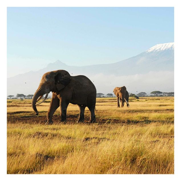 Tiertapete Elefanten vor dem Kilimanjaro in Kenya