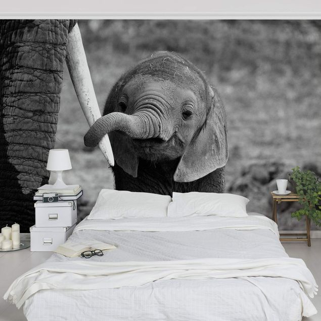 Fototapete Schwarz-Weiß Elefantenbaby