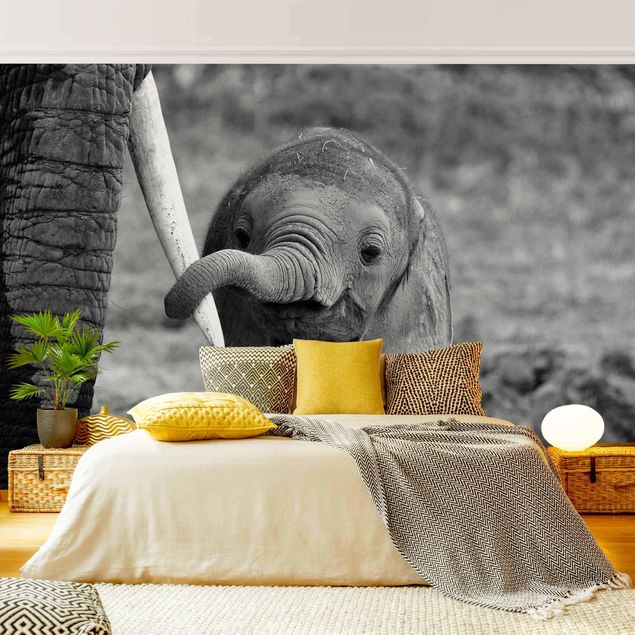 Moderne Tapeten Elefantenbaby